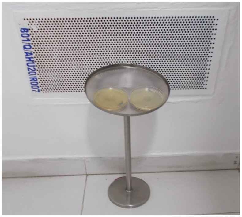 Petri plate Exposed Near the Return Air Loop on the Stand.
