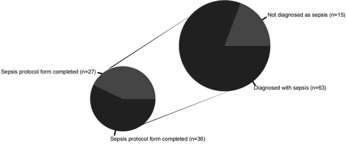 The figure to the right depicts the proportion of patients (n=78) diagnosed with sepsis in the audit as per the sepsis protocol. Amongst patients diagnosed with sepsis, the nested pie chart to the left depicts the proportion of diagnosed cases with either completed or partially/uncompleted sepsis pr