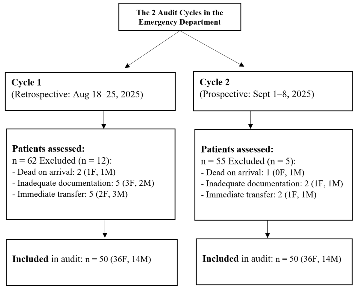 NEWS2 Implementation Audit: Pre- and Post-Intervention. A CONSORT-style flow diagram comparing two audit cycles for NEWS2 implementation in an Emergency Department. ED, Emergency Department; NEWS2, National Early Warning Score 2; F, Female/s; M, Male/s.