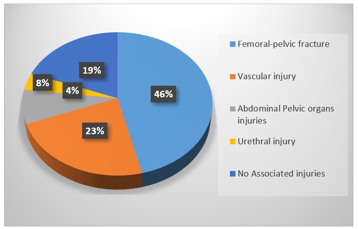 Distribution of associated injuries distribution.