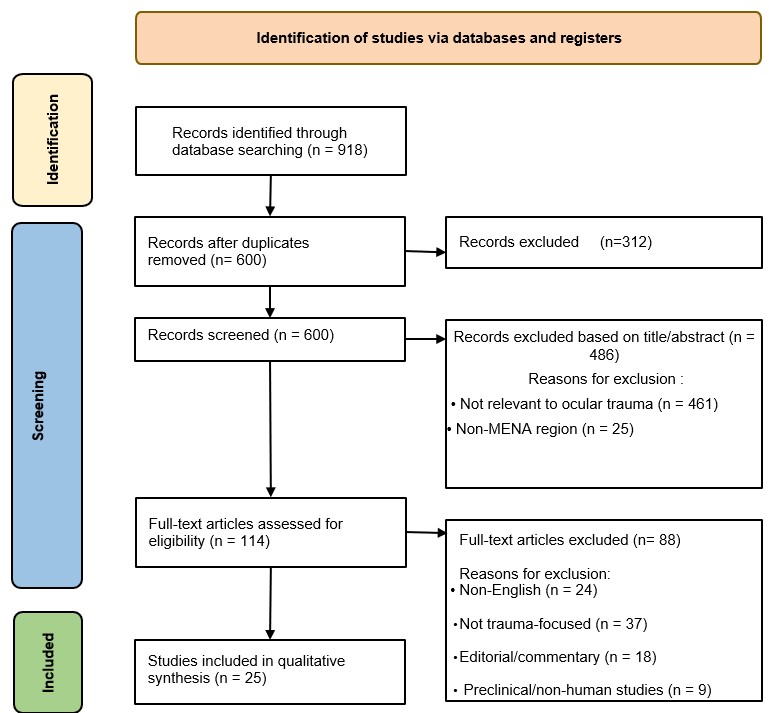 PRISMA flow diagram for the identification and selection of studies eligible for this review.