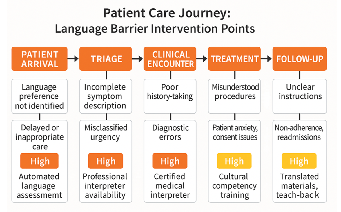 Patient Care Journey: Language Barrier Intervention Points.