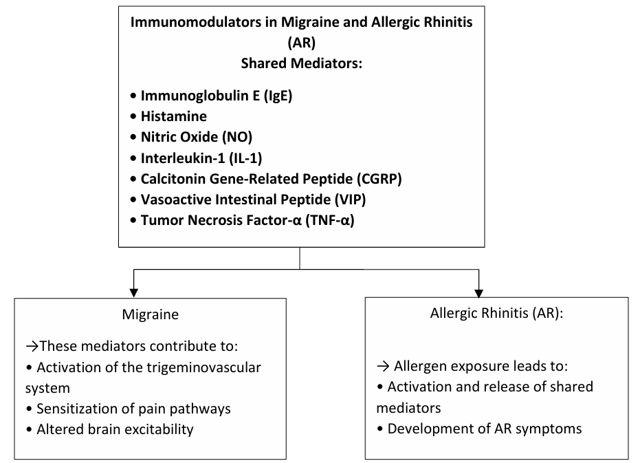 This flowchart illustrates the common mediators activated in both migraine and allergic rhinitis, as well as their roles in both pathways.