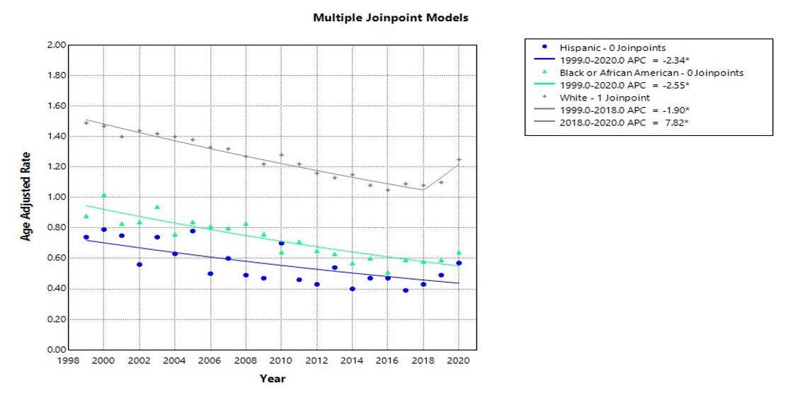 Age-adjusted mortality rates (AAMRs) per 100,000 individuals stratified by race/ethnicity in the United States, 1999 to 2020