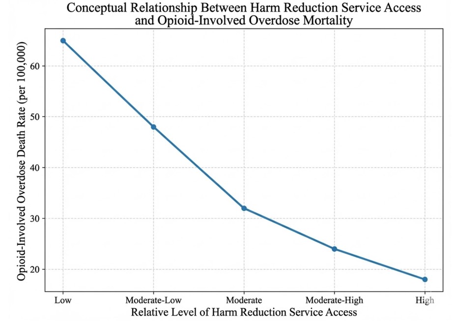 Conceptual schematic illustrating the proposed pathways through which community-based harm reduction programme implementation is associated with reductions in population-level opioid overdose mortality, as informed by the evidence synthesised in this review.