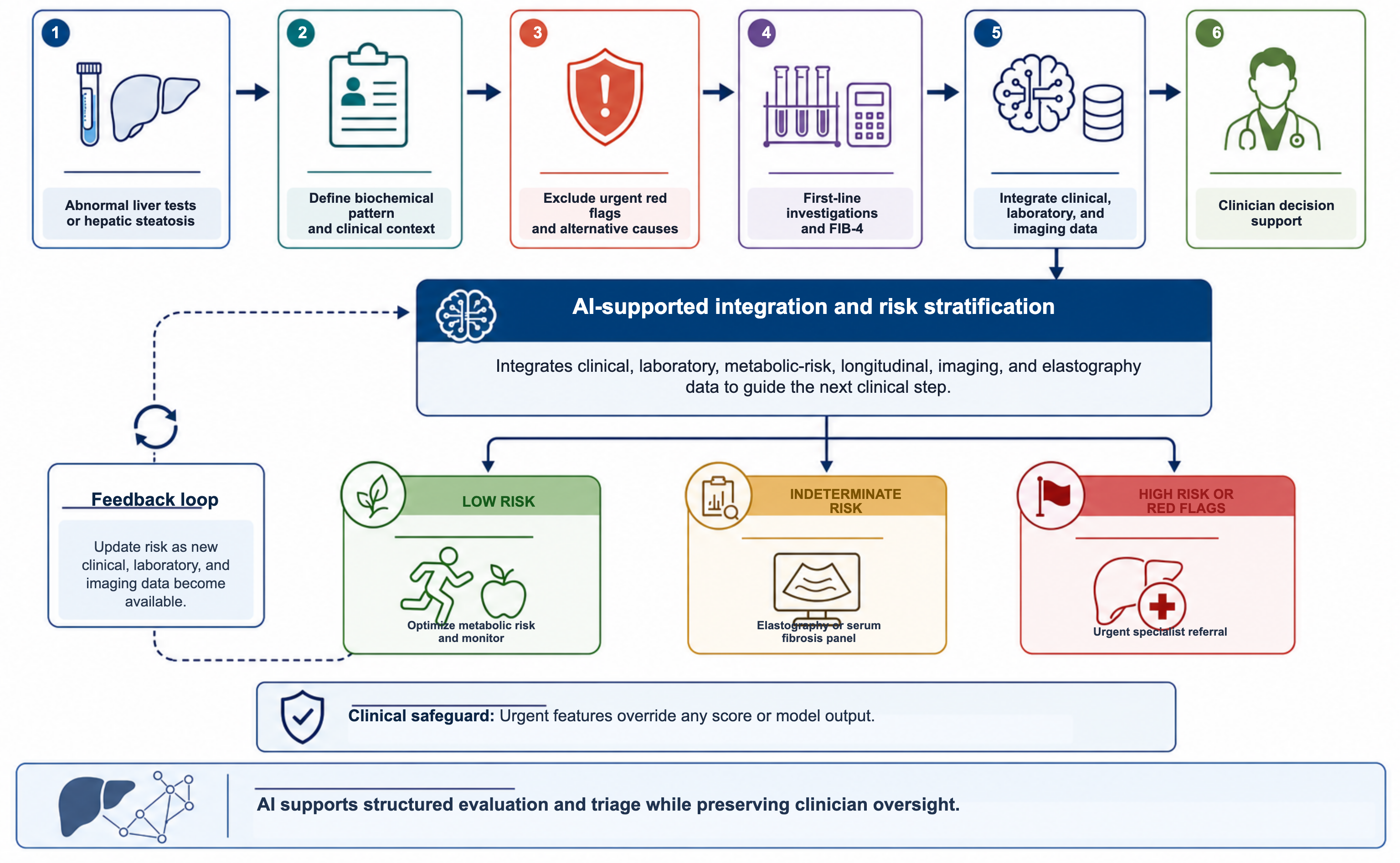 Proposed AI-supported clinical pathway for abnormal liver tests and suspected metabolic dysfunction-associated steatotic liver disease (MASLD). The pathway applies to stable adult outpatients. Conventional clinical assessment defines the biochemical pattern, excludes urgent or competing diagnoses, a