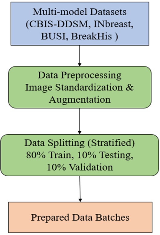 Workflow of data preparation and preprocessing.