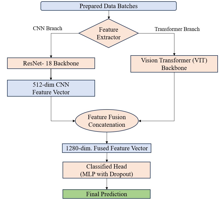 Overview of the proposed federated vision transformer framework.